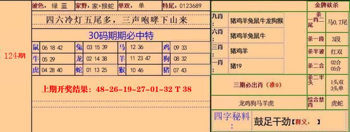 新加坡天天彩