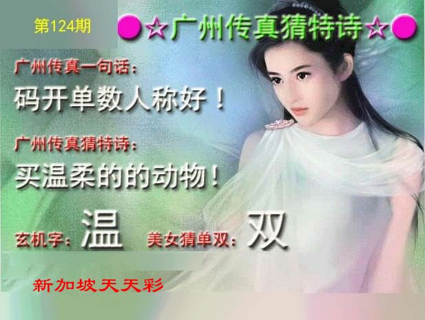 新加坡天天彩